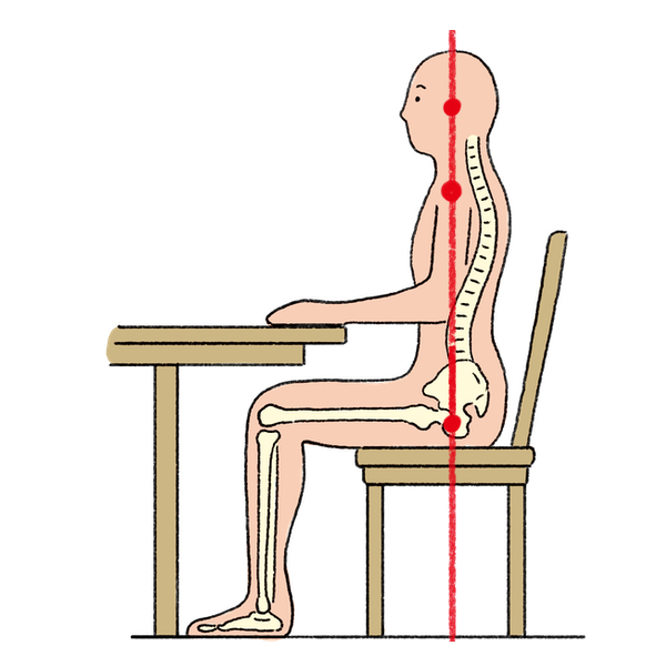 骨盤を立てる座り方のコツ 坐骨 で座ってみよう 子どもの姿勢基礎知識 Norokka ノロッカ 公式ウェブサイト